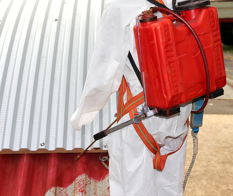 worker with protective suit during the remediation of asbestos