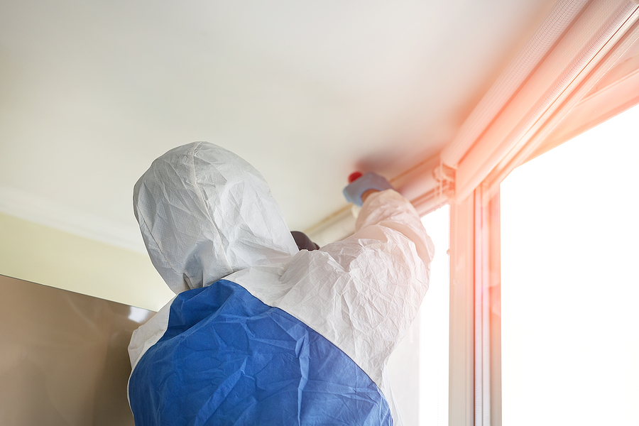 Man wearing protective biological suit and gas-mask due to mers coronavirus global pandemic warning and danger. Worker make disinfection, pest control and mold removal and ventilation at house room